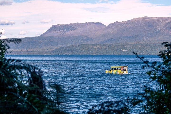 Duck on Tarawera with Mt Tarawera