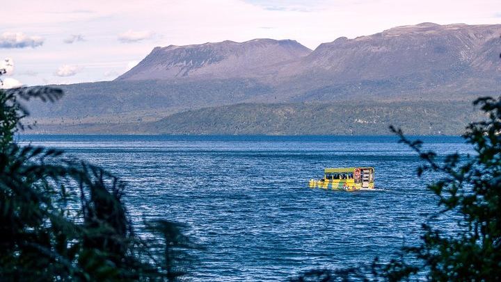 Duck on Tarawera with Mt Tarawera