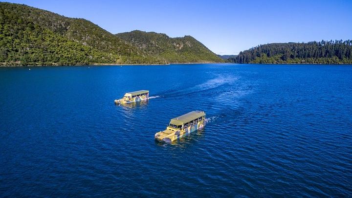 Ducks on Blue Lake