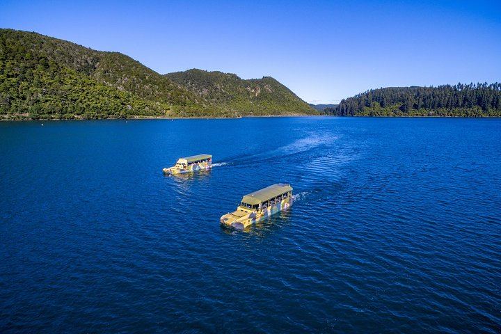 Ducks on Blue Lake