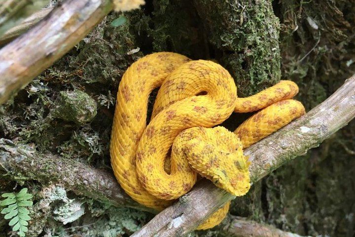 Encounter wildlife, including snakes, along the trails!