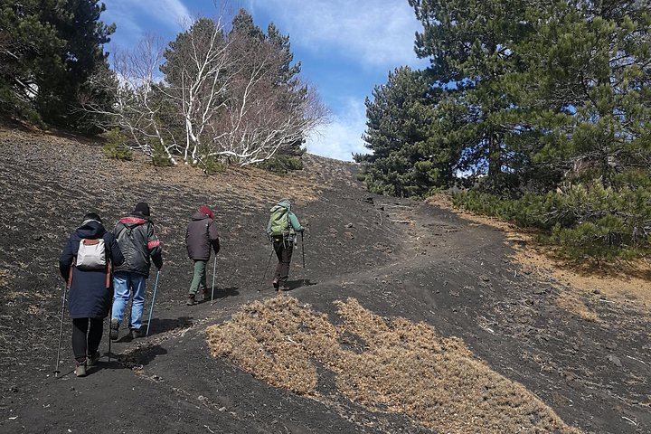 Etna and Taormina con pranzo