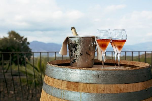Etna Wine Country from Taormina: Five Glasses and Two Estates
