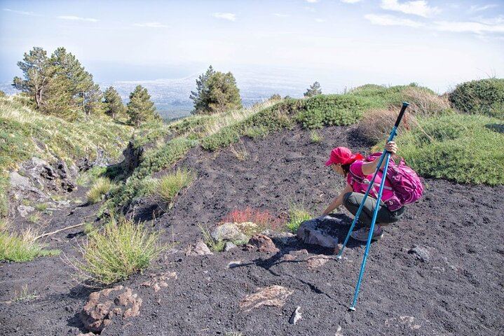 Etna Family Tour Excursion for families with children on Etna