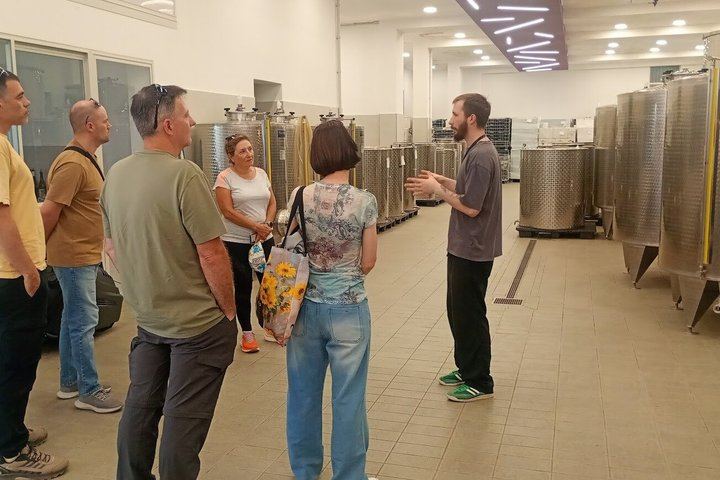 Etna Jeep OffRoad Tour: Lava Flows,Etna Wines,Lunch at 6,561 ft