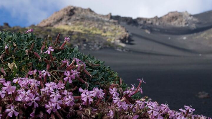 Etna Morning or Sunset - Trek & Lava Tunnel with Gear