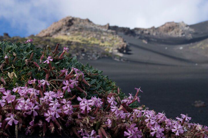 Etna's Hidden Gems - Trek Valle Bove & Lava Tunnel with Gear