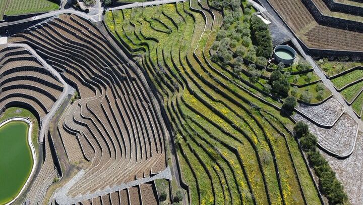 Etna panoramic private tour and Wine taste and food combination