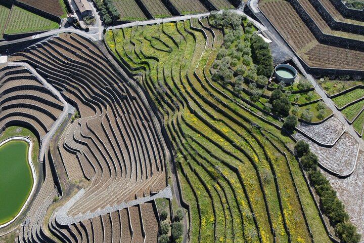 Etna panoramic private tour and Wine taste and food combination