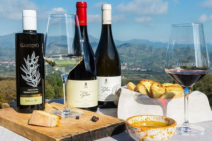 Etna panoramic private tour and Wine taste and food combination