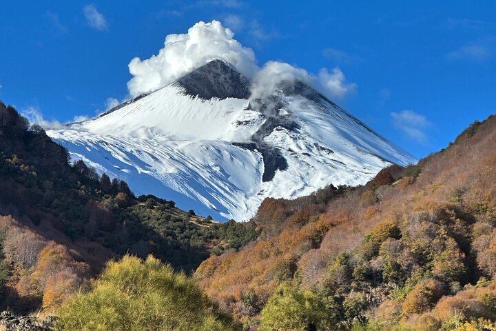 Etna Private Tour and Excursion