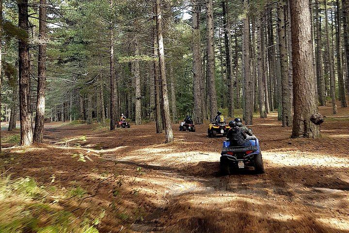 Etna quad tour - half day
