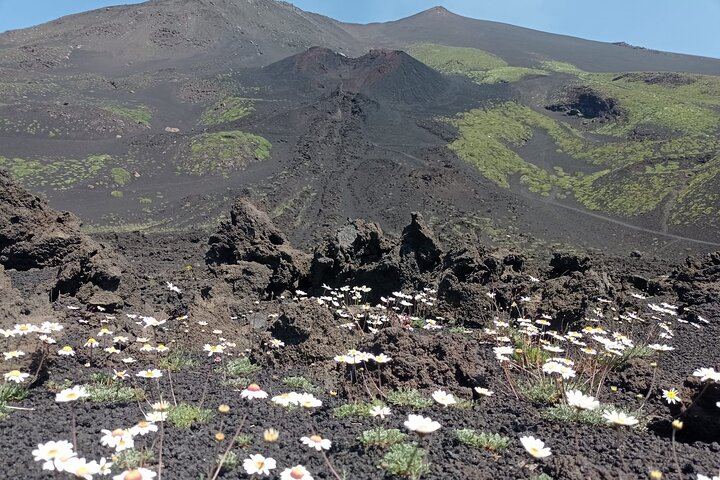 Etna Sunset tour with dinner (departure from Catania)