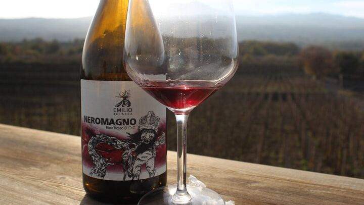 Etna Wine and Alcantara with lunch