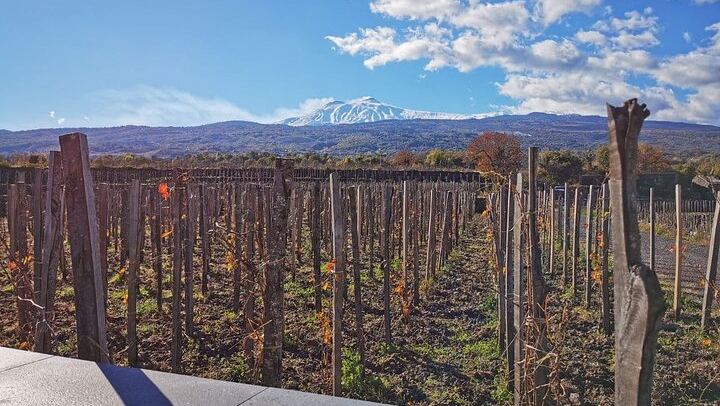 Etna Wine and Alcantara with lunch