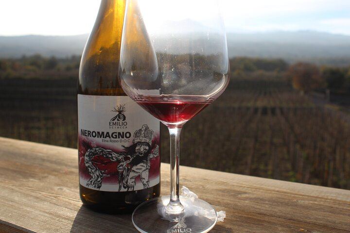 Etna Wine and Alcantara with lunch