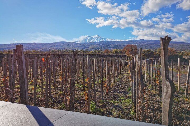 Etna Wine and Alcantara with lunch