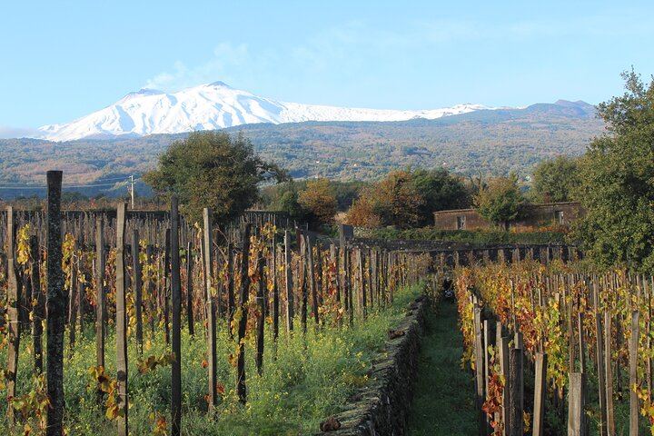 Etna Wine Tasting & Sicilian Lunch –Small Group Tour from Catania