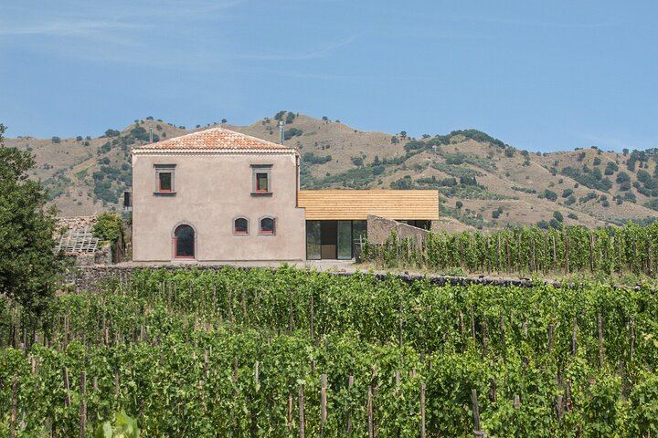 Etna Wine Tasting & Sicilian Lunch –Small Group Tour from Catania