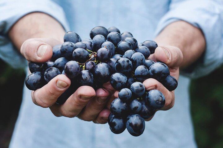 Etna wine tour