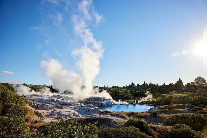 Ex Auckland: Rotorua Māori Village with Haka and Hot Springs