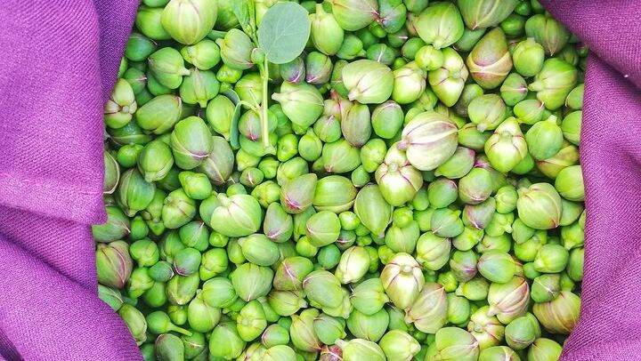 Exclusive Tour in Salina: Half Day of Local Flavors and Wines