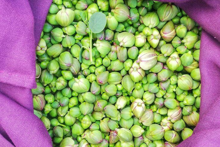 Exclusive Tour in Salina: Half Day of Local Flavors and Wines
