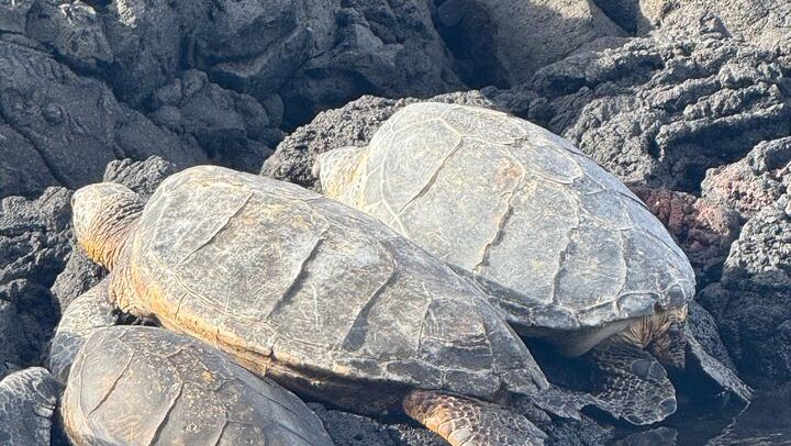 “Experience “Hawaii Volcano,Waterfall, Black Sand Beach & Lunch