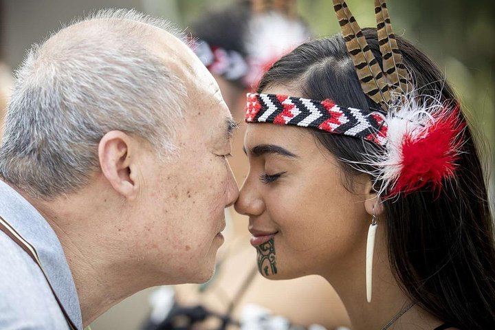 Te Puia Tour, Haka Show & Lunch Small Group Tour from Auckland
