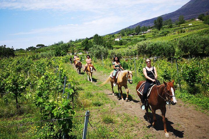 Explore the National Park of Mount Vesuvius