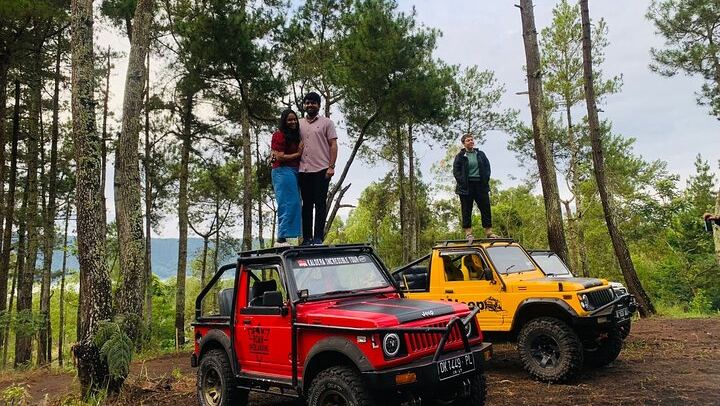 Feeling the pine forest vibe at Mount Batur