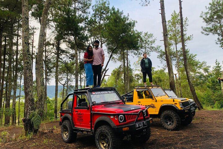 Feeling the pine forest vibe at Mount Batur