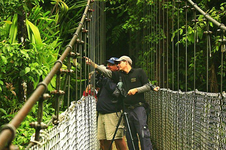 Find wildlife as you walk the hanging bridges