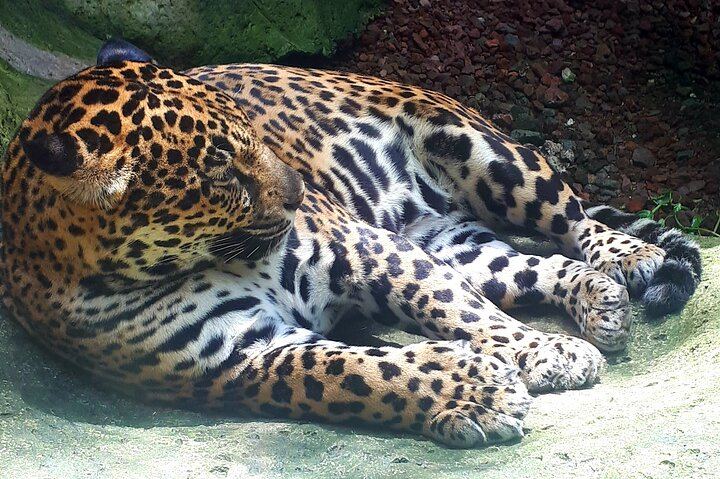 Foto: By Olman Arce Mejía