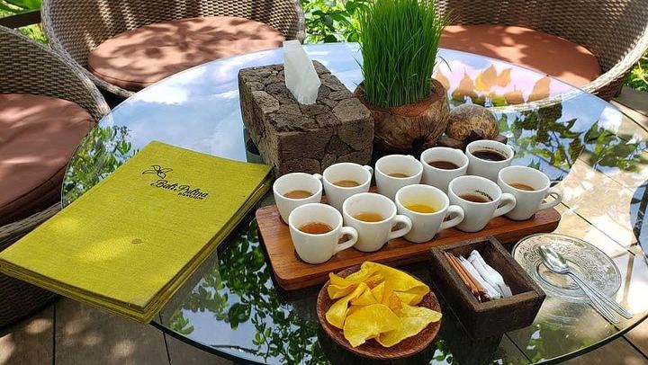 Free coffee testing before hiking volcano
