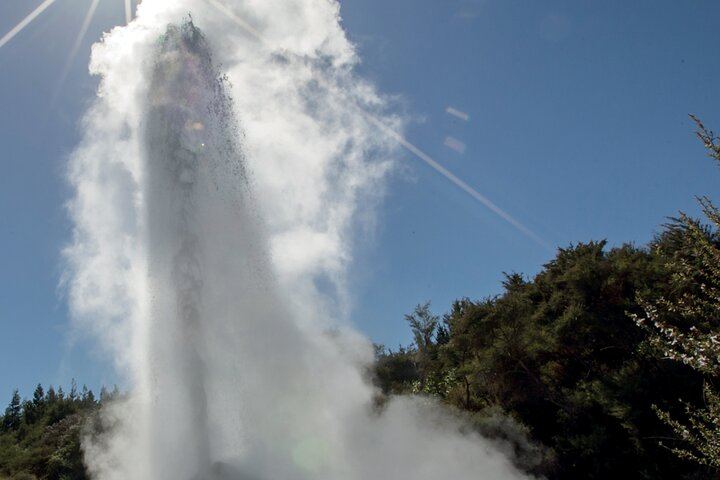 From Auckand: Waiotapu and Polynesian Spa Rotorua Day Tour