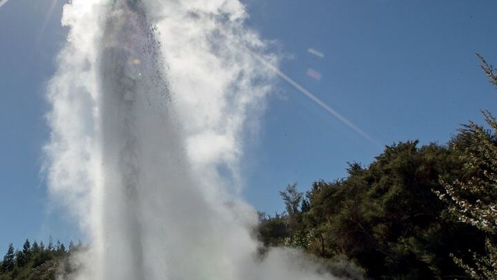 From Auckand: Waiotapu and Polynesian Spa Rotorua Day Tour