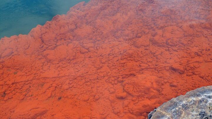 From Auckand: Waiotapu and Polynesian Spa Rotorua Day Tour