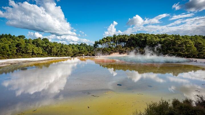 From Auckand: Waiotapu and Polynesian Spa Rotorua Day Tour