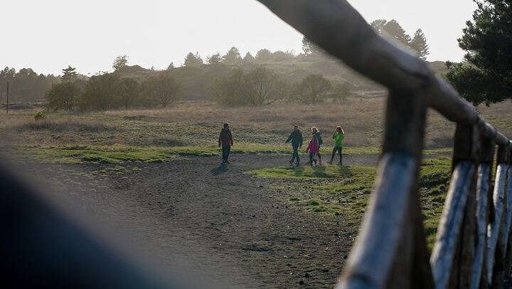 From Catania: Private mt. Etna trekking and pic-nic