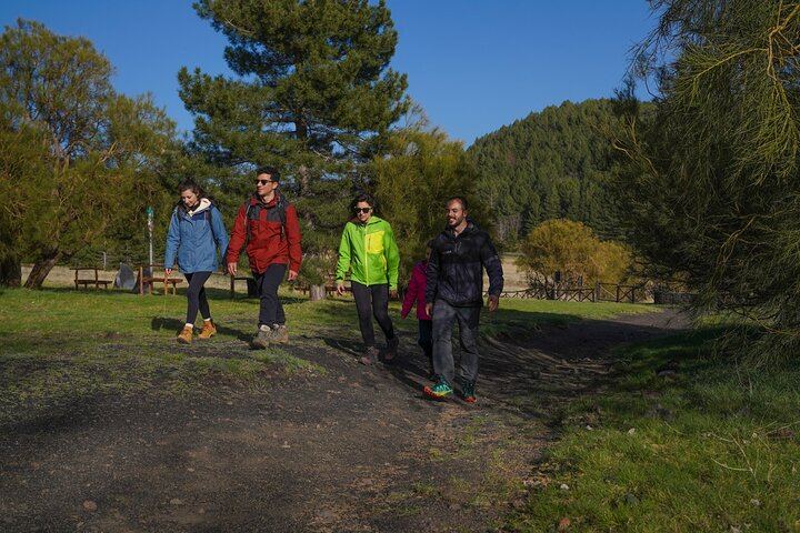 From Catania: Private mt. Etna trekking and pic-nic