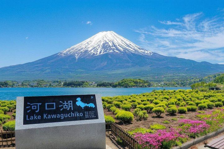 From Tokyo: Mount Fuji Sightseeing One Day Trip