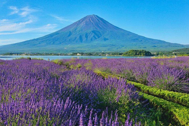 From Tokyo: Mount Fuji Sightseeing One Day Trip