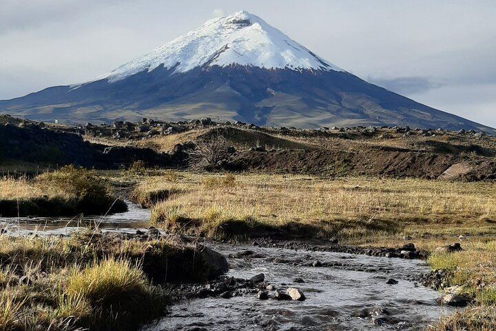 Full-Day Cotopaxi Volcano Horseback Riding and Hike for Beginners