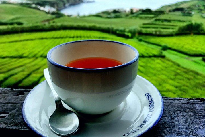 Full Day Jeep Tour Furnas with lunch (Cozido) and drinks included