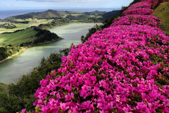 Full Day Jeep Tour Furnas with lunch (Cozido) and drinks included