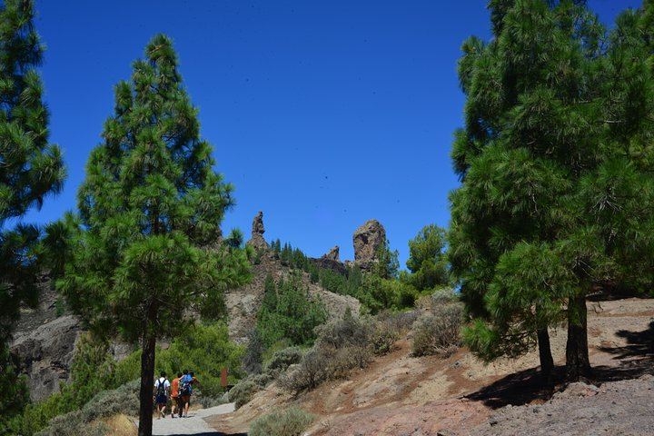 Full Day to Bandama Volcano, Center and High Peaks of Gran Canaria & Roque Nublo