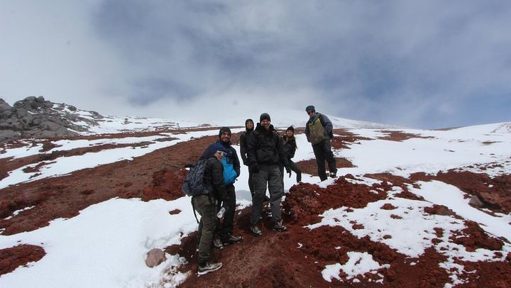 Full-Day Tour Cotopaxi National Park - All included from Quito
