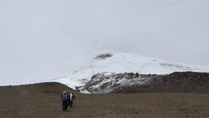 Full-Day Tour Cotopaxi National Park - All included from Quito