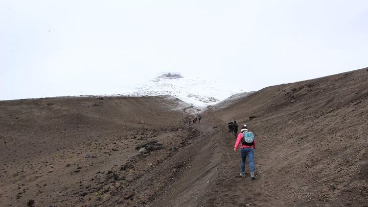 Full-Day Tour Cotopaxi National Park - All included from Quito